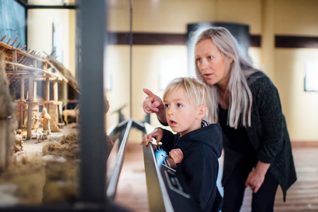 The Viking Museum ticket visit photo