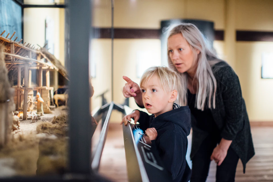 The Viking Museum